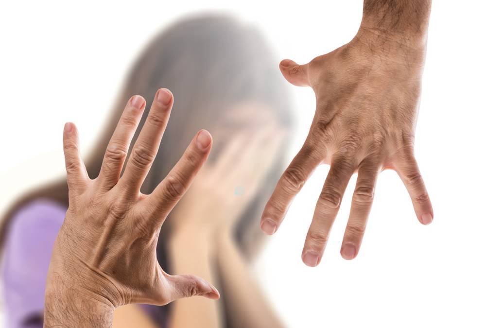 HIGHLIGHTS ABOUT THE DECREE OF PROTECTION FROM DOMESTIC VIOLENCE